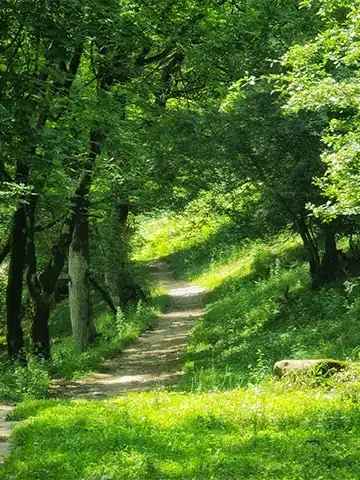 مسیر آبشار خربو ماسوله