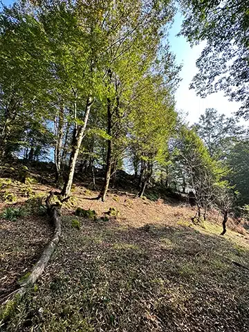 مسیر ییلاق للندیز فومن