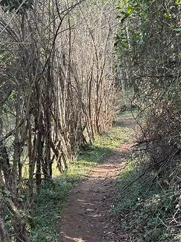 مسیر للندیز ماسوله