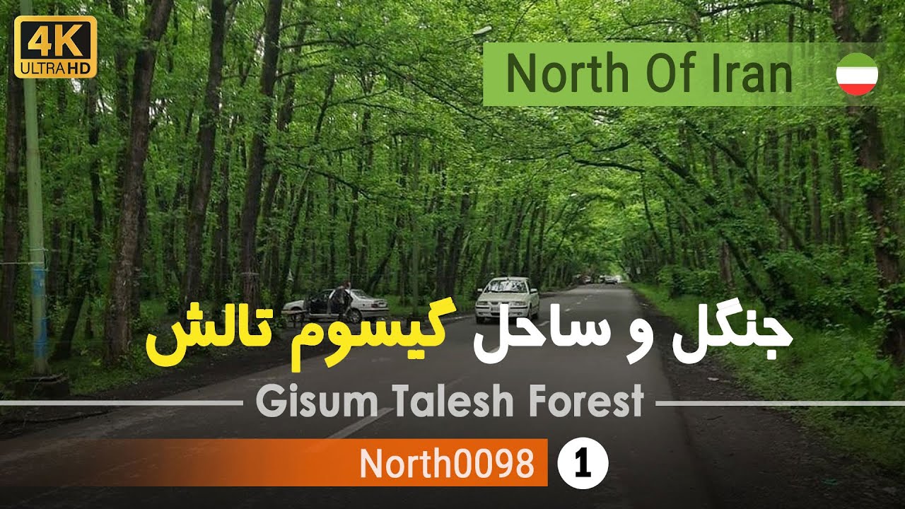 فیلم ساحل گیسوم