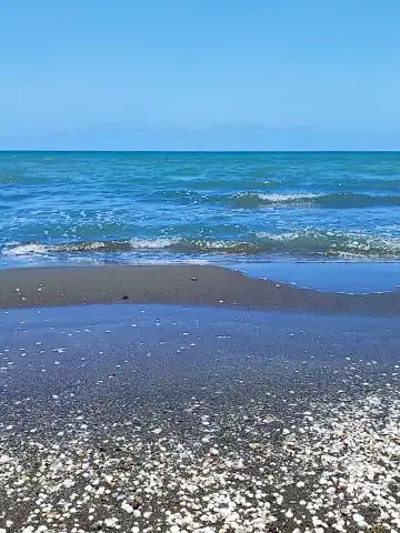 ساحل شفارود رضوانشهر