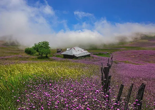 ییلاق سوباتان (سووتون) یکی از زیبا ترین مناطق ییلاقی از توابع تالش می باشد.