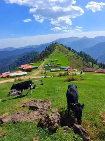 منظره ییلاق سوئه چاله ماسال