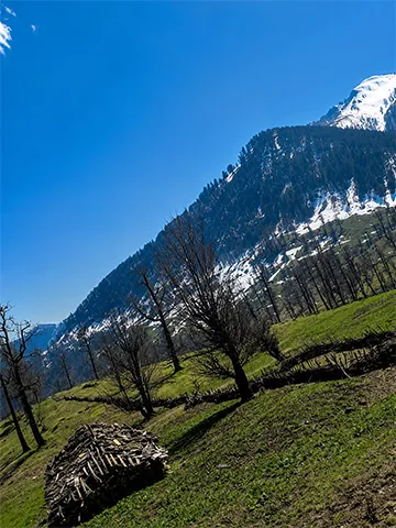 کلبه در روستای چسلی