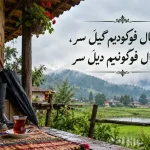 ضرب المثل گیلکی درباره روزگار ناسازگار
