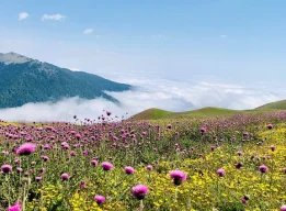ییلاق سلانسر رودبار