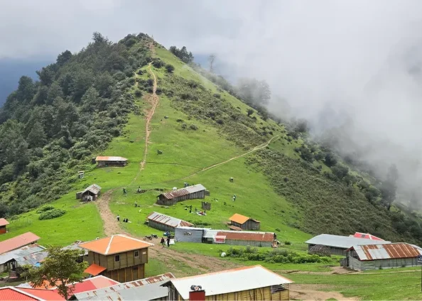 ییلاق سوئه چاله ماسال