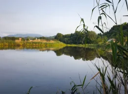 تالاب زربیجار املش