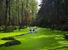 تالاب سراوان رشت